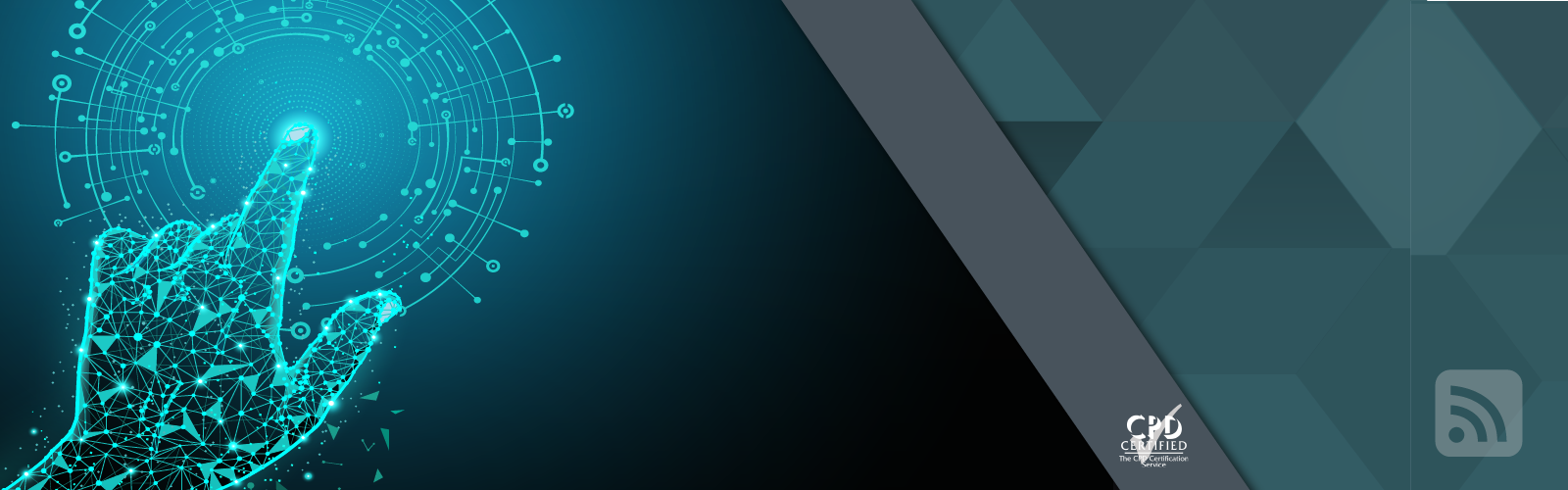 1LoD Risk & Control Deep Dive